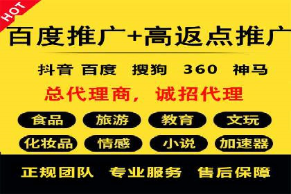 百度竞价运营的挑战与机遇：成功案例探讨